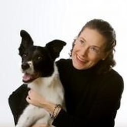 bill baren life coach