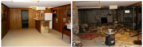 Ahold of Mold Environmental