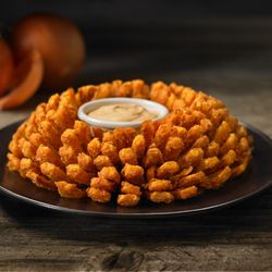 Suck the cum of my tits Outback steakhouse + market penetration