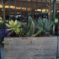 Armstrong Garden Centers 66 Photos 38 Reviews Nurseries Photo Of Armstrong Garden Centers Tustin Ca United States