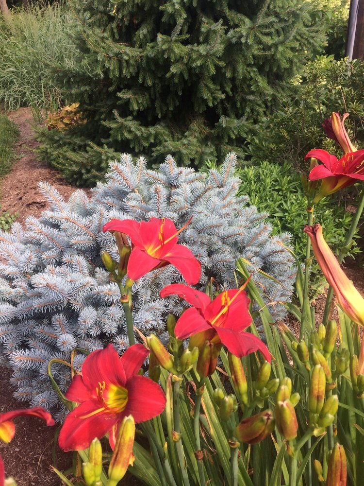 Tree Of Life Services - Landscaping - 3510 Willow Street Pike S, Willow