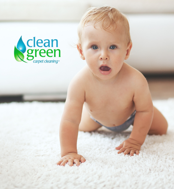 Clean Green Carpet Cleaning