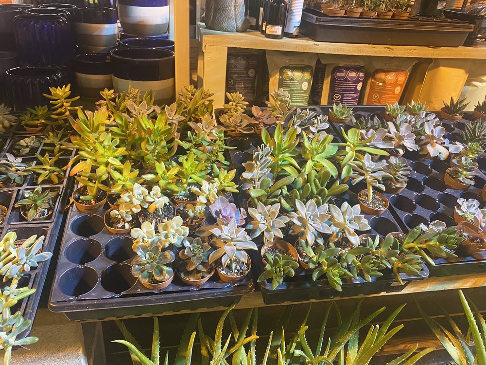 Fifth Season Gardening