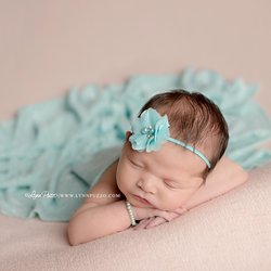 Lynn Puzzo Photography gift card