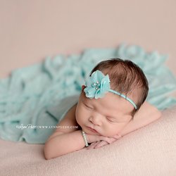 Lynn Puzzo Photography in Fayetteville gift card