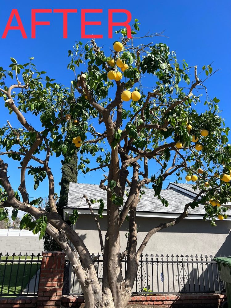GPL Horticulture