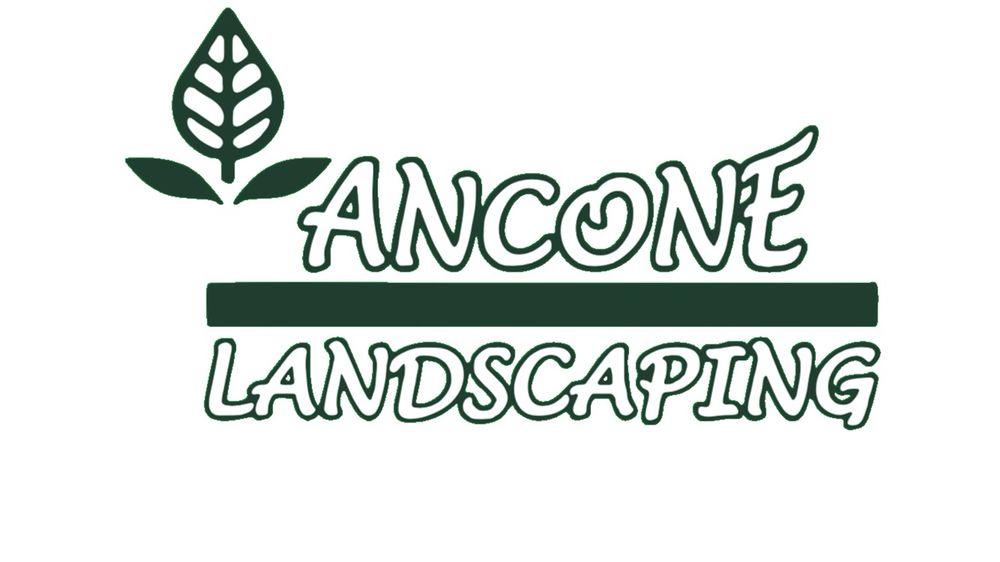 Ancone Landscaping
