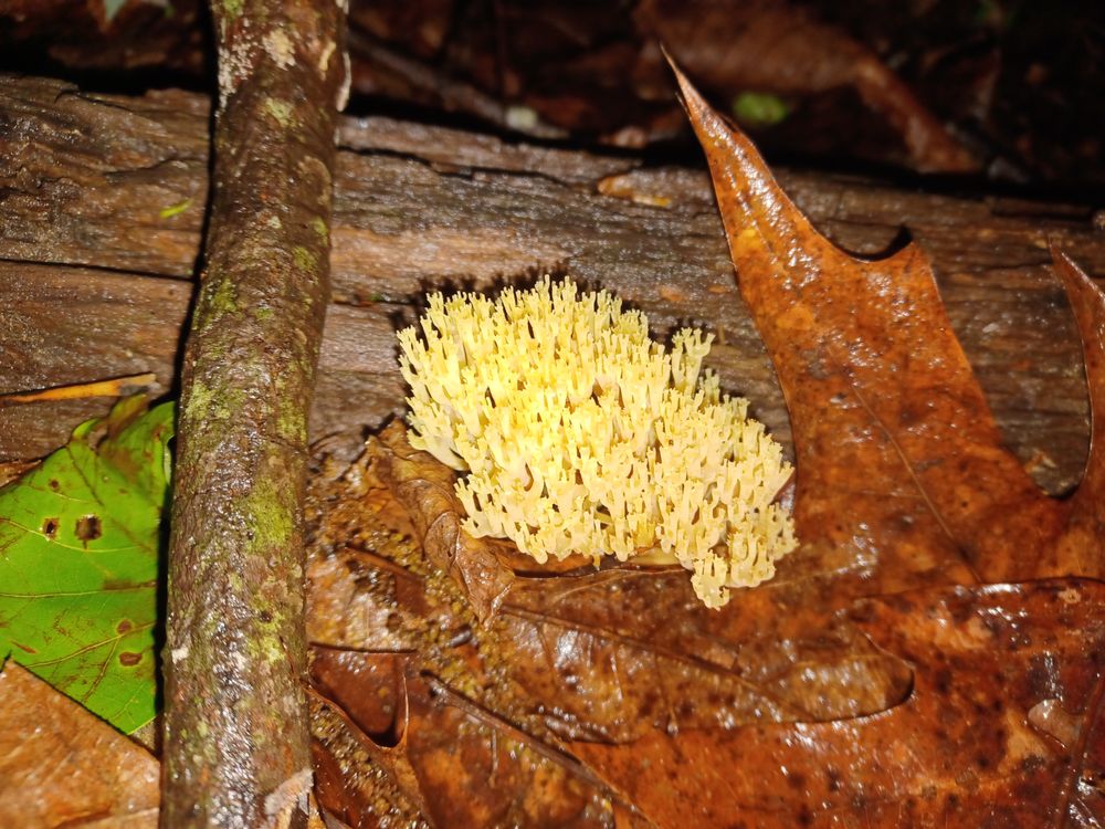 image of business Aleph Construction