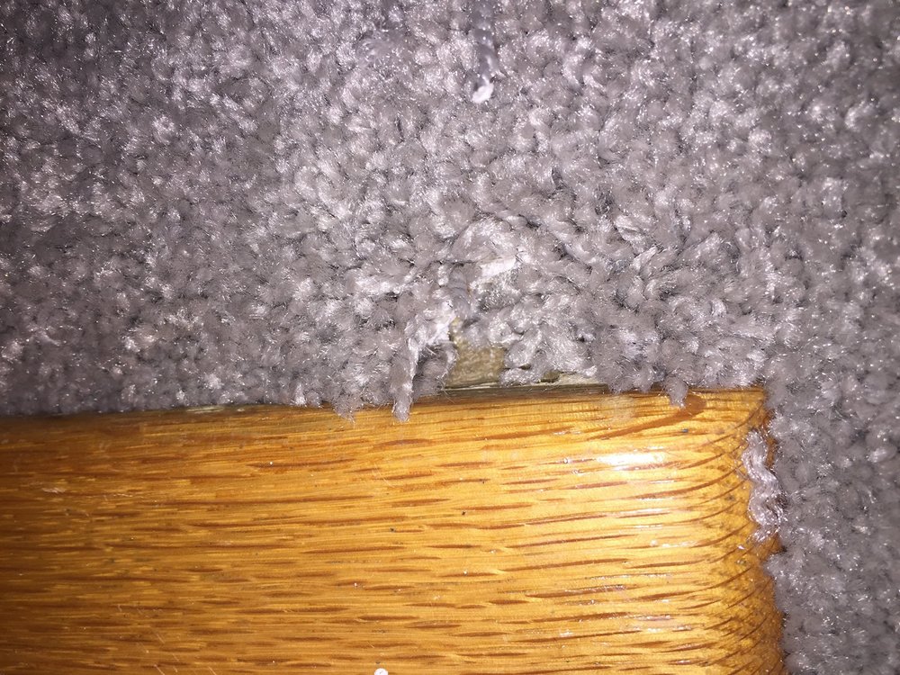 image of business The Flooring Gallery