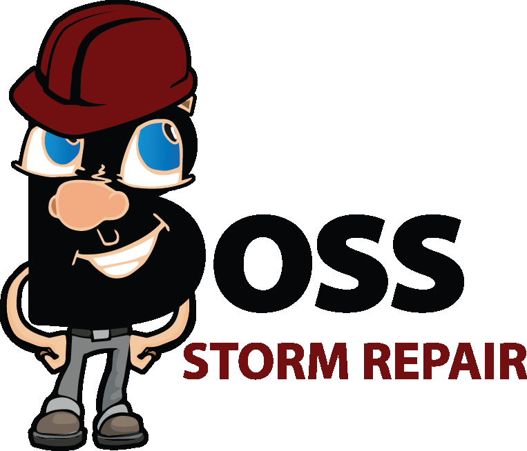 Boss Storm Repair