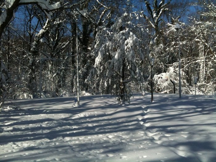 McLean Central Park