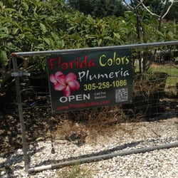 Florida Colors Nursery Nurseries Gardening 23740 Sw 147th Ave Florida Colors Nursery Nurseries Gardening 23740 Sw 147th Ave Homestead Fl Phone Number Yelp