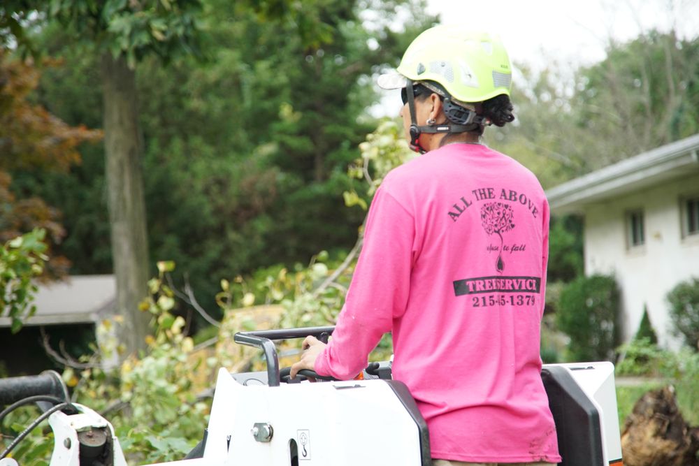 All The Above Tree Service