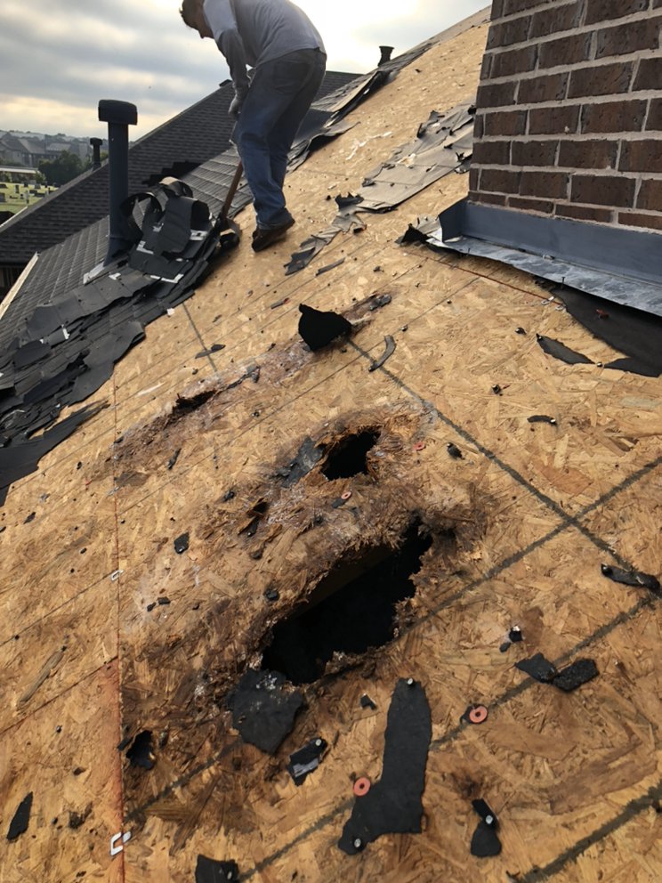 Protek Painting & Roofing
