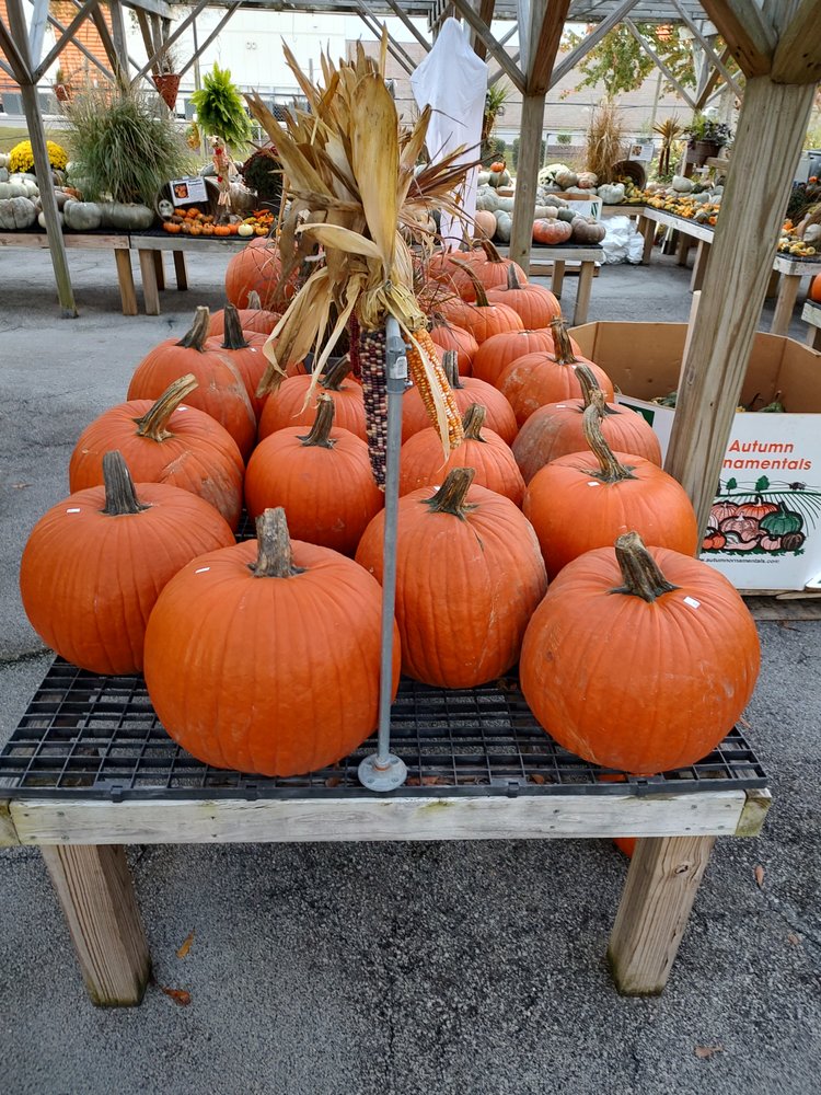 Pinecone Home and Garden Center