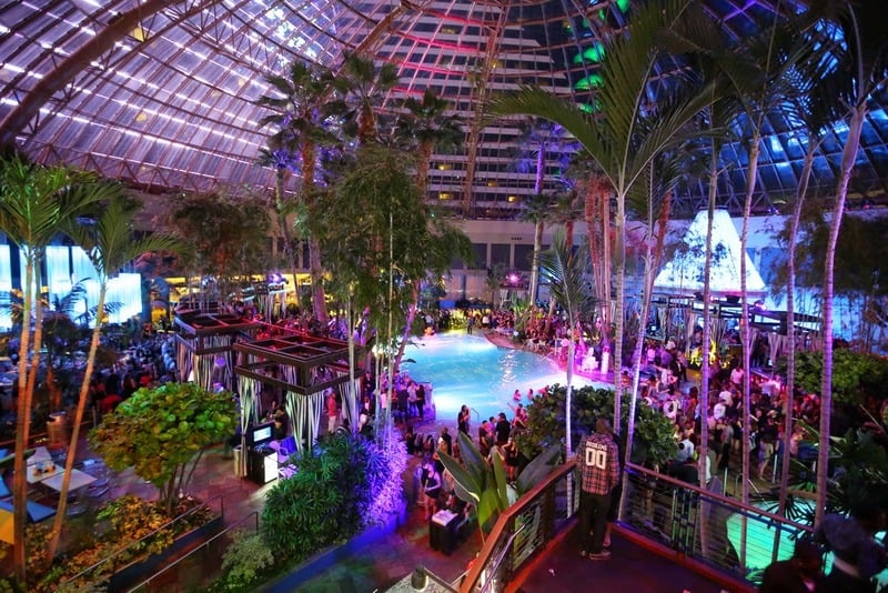 Pool After Dark 193 Photos & 254 Reviews Dance Clubs 777 Harrah's