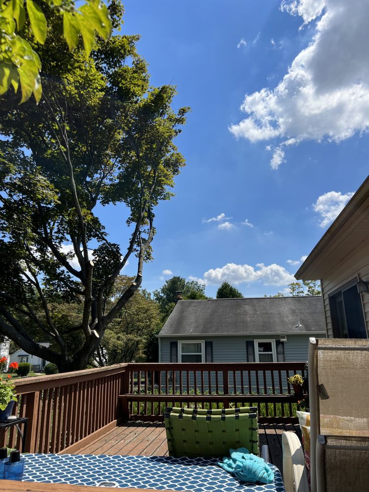 Crown Tree Arborcare