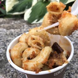 Vegetarian Restaurants In Cambridge Yelp Veggie Galaxy