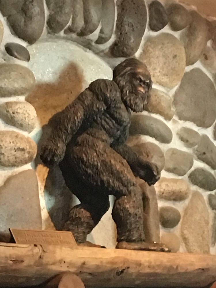 Sasquatch Tavern & Grill 199 Photos & 185 Reviews American