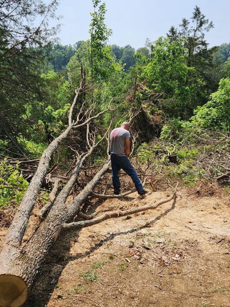 Shular Wood