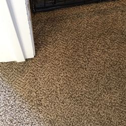 The Carpet Doctor 23 Photos Cleaning Port Orchard Wa Photo Of The Carpet Doctor Port Orchard Wa United States