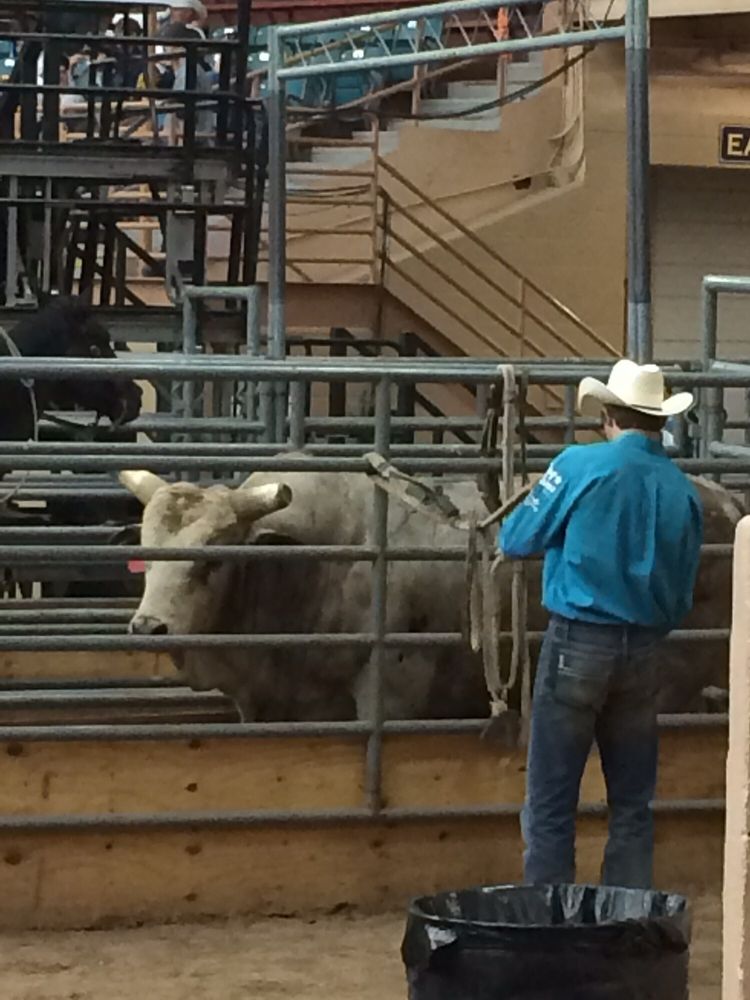 Tingley Coliseum 57 Photos & 11 Reviews Stadiums & Arenas 300 San