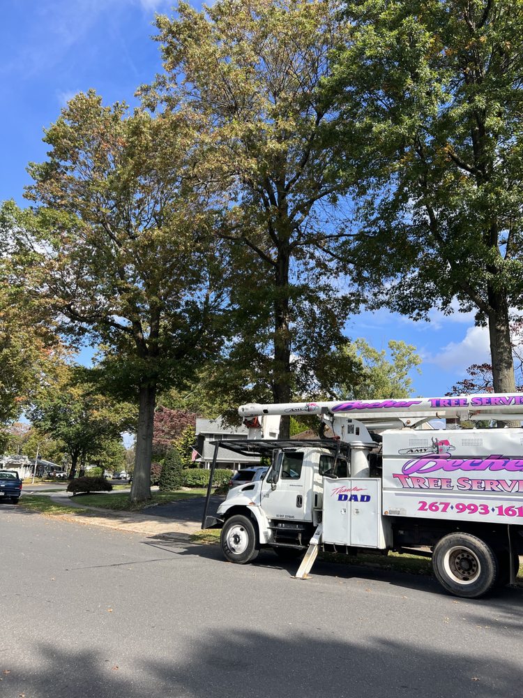 Becker Tree Service