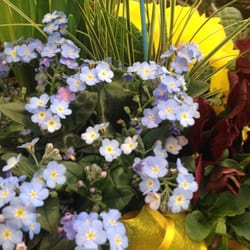 Gartencenter Rostock Elmshorn