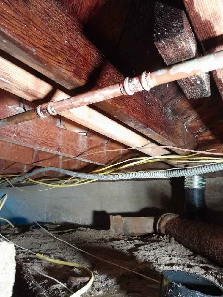 Sewer & Drain Guys