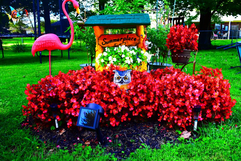 Wallitsch Nursey and Garden Center Nurseries & Gardening 2608 Hikes Ln, Louisville, KY