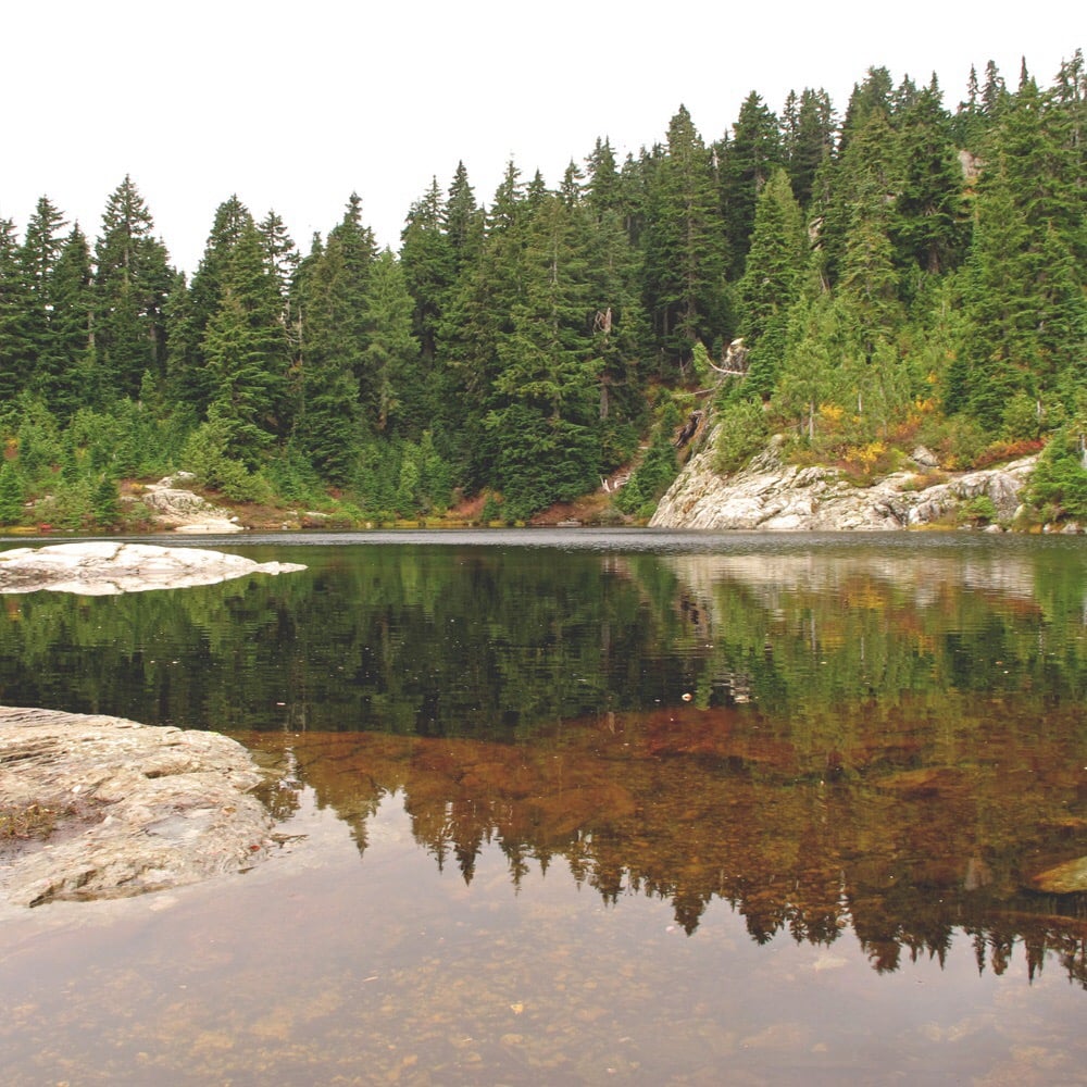 Mount Seymour Provincial Park 11 Photos Hiking North Vancouver