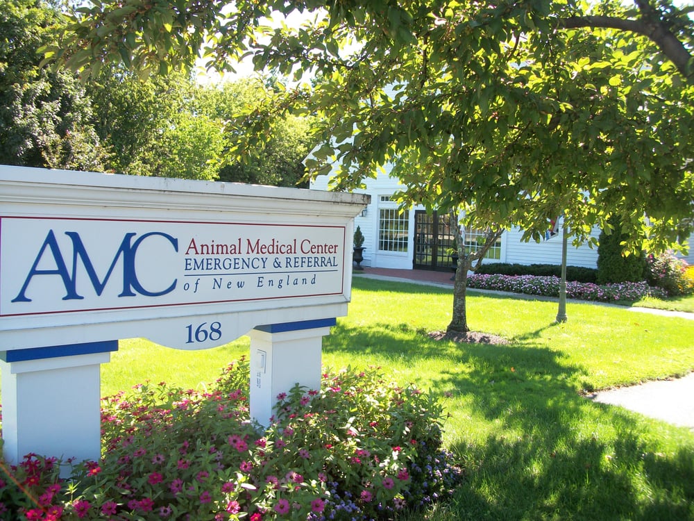 Animal Medical Center of New England Veterinarians 168 Main
