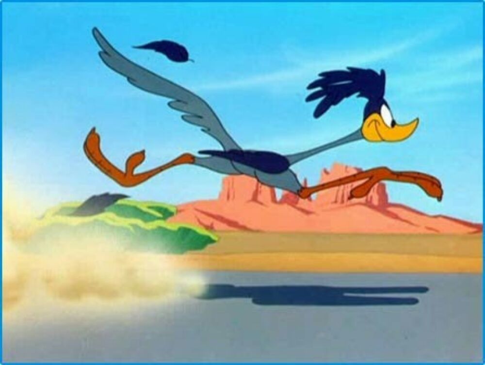 Road Runner Express Delivery
