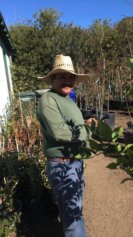 Beautiful Days At Clausen Nursery Yelp Photo Of Clausen Nursery Vista Ca United States Beautiful Days At