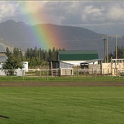 Lavington Turf Farms 10 Photos Nurseries Gardening 5770 Photo Of Lavington Turf Farms Coldstream Bc Canada