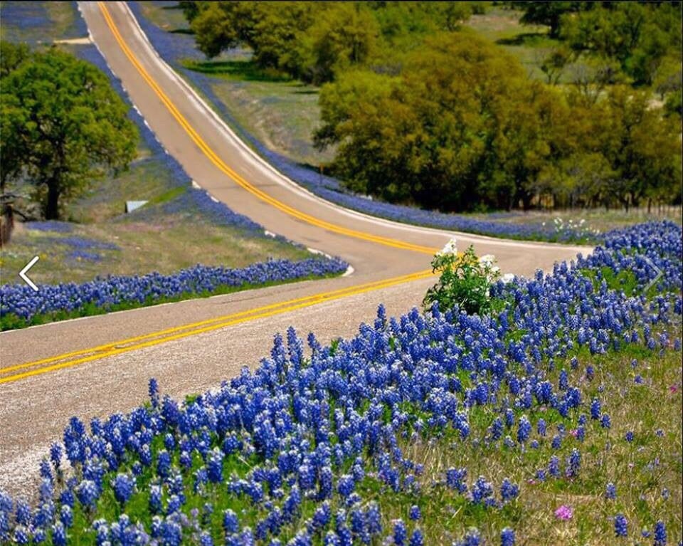 Hill Country Getaways Vacation Rentals Mason, TX Phone Number Yelp