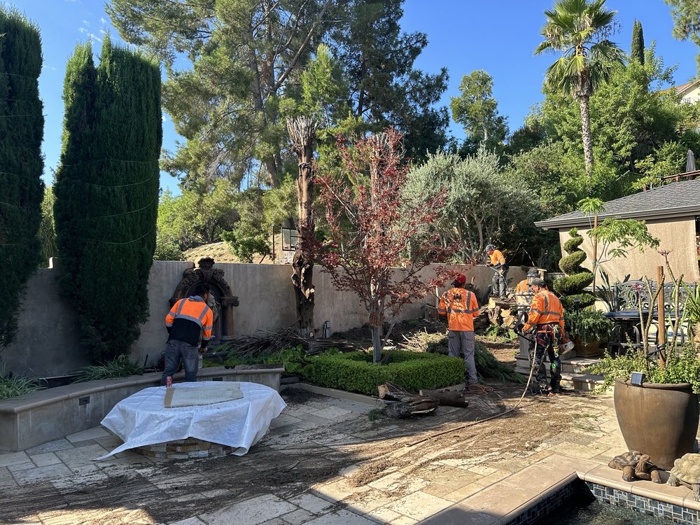 Happy's Tree Services