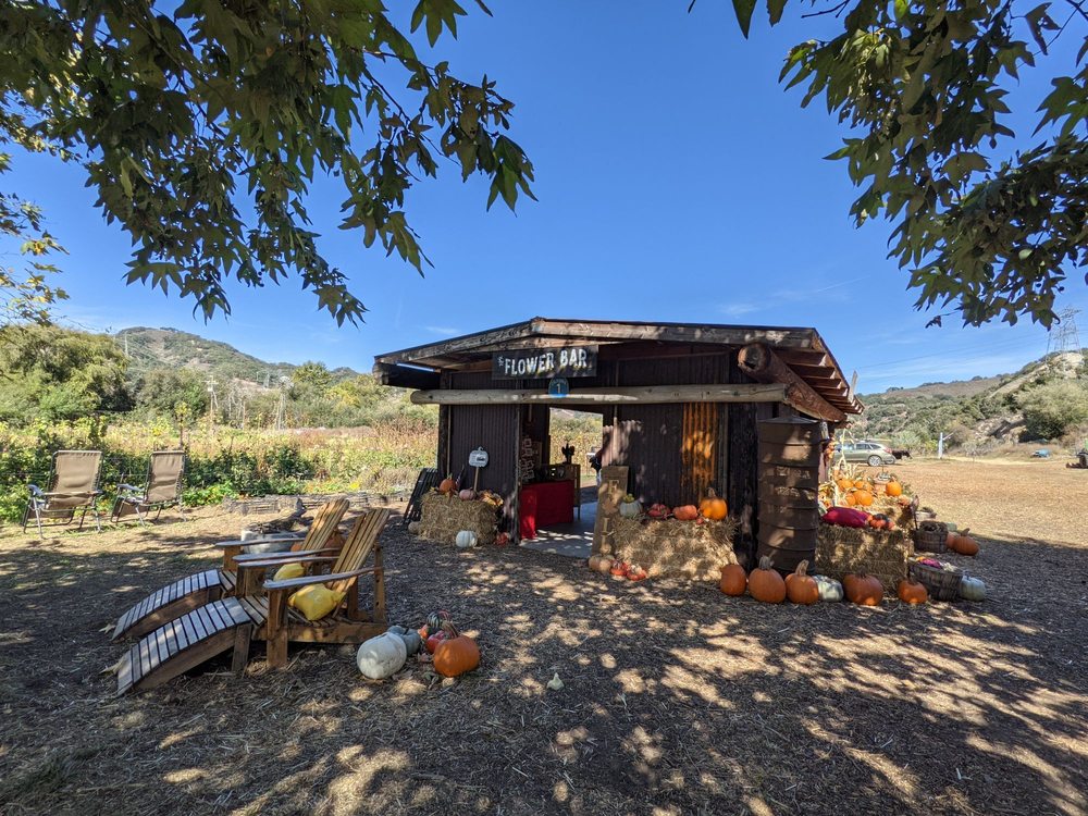 SLO Creek Farms