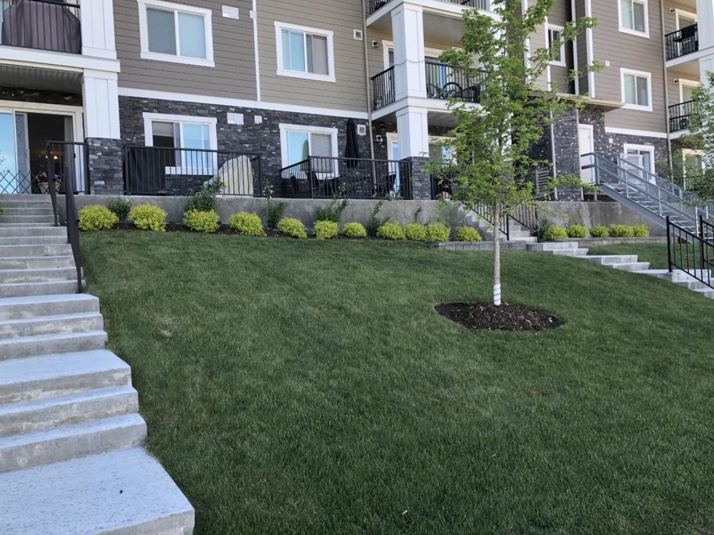 TopNotch Landscaping