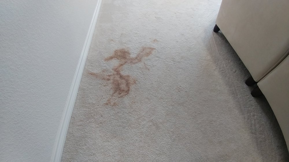 Angel Dry Carpet & Rug Cleaning