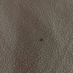 Motel 6 12 Reviews Hotels 110 Airport Fwy Euless Tx Phone Photo Of Motel 6 Euless Tx United States Bed Bugs