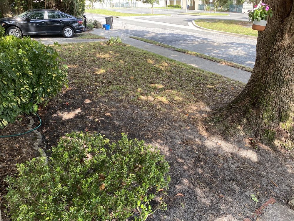 Theo's Lawn Maintenance