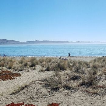 Doran Beach 356 Photos 99 Reviews Park Forests 201 Photo Of Doran Beach Bodega Bay Ca United States Panoramic