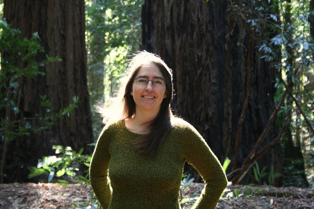 Real Imaginal Astrology by Erica Jones