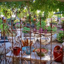 Whitfill Nursery 104 Photos 66 Reviews Nurseries Gardening Photo Of Whitfill Nursery Phoenix Az United States