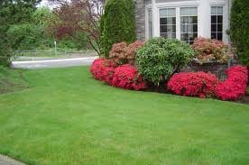 Lawn Care