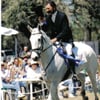 Up-N-Over Stables gift card