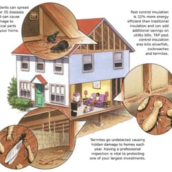 Pacific Coast Termite 110 Reviews Pest Control 1211 N Batavia Photo Of Pacific Coast Termite Orange Ca United States