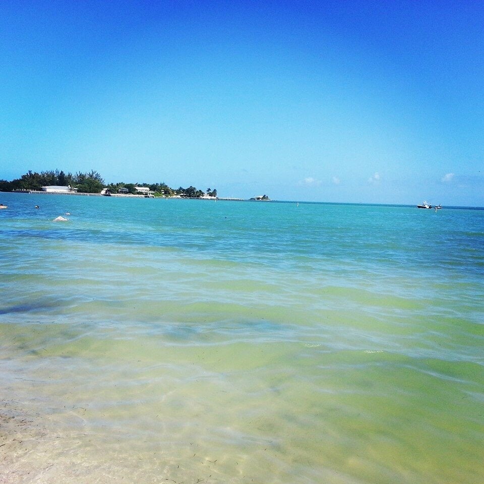 Sombrero Beach 73 Photos & 52 Reviews Swimming Pools MM 50