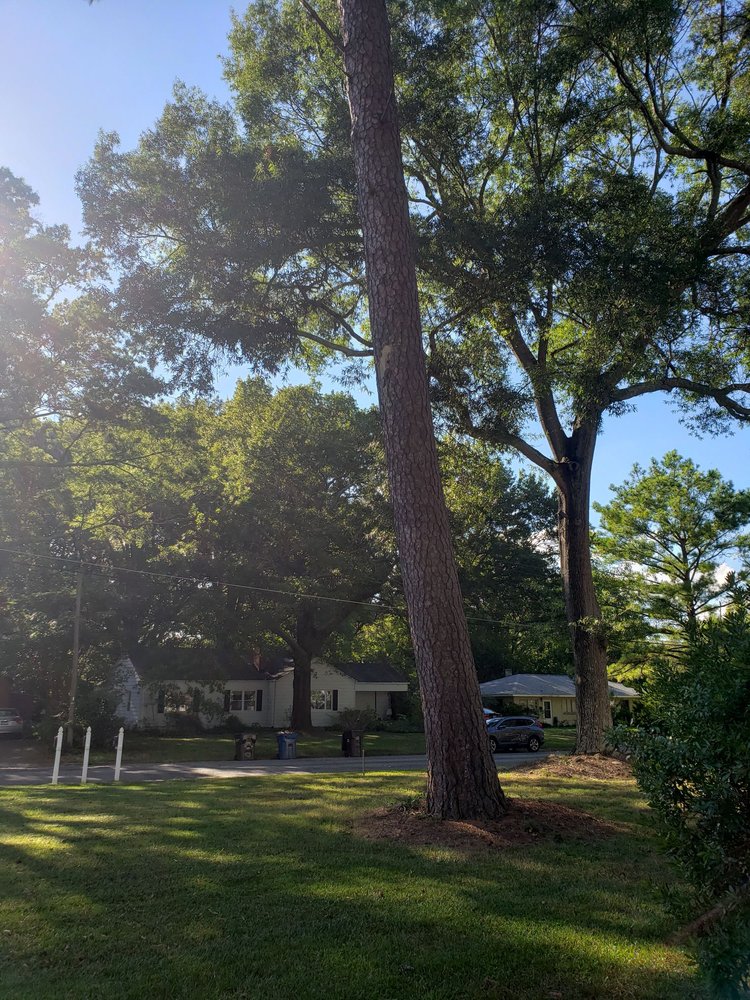 Flores Landscaping & Tree Service